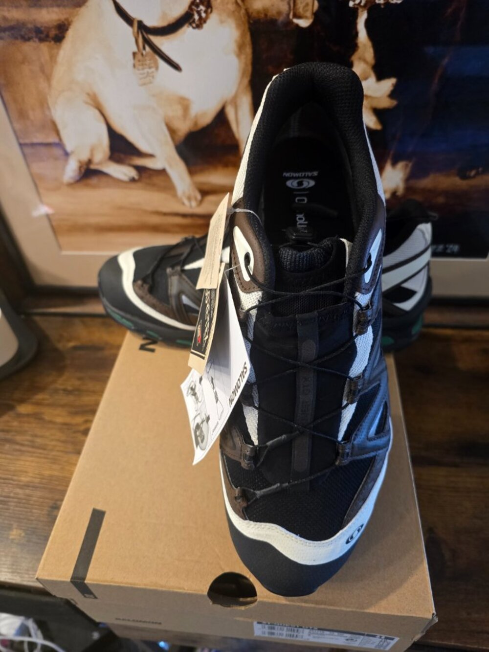 Salomon XT-Quest Gore-Tex L49171800 Black Delicioso Hiking Shoes Men's 10.5 NEW